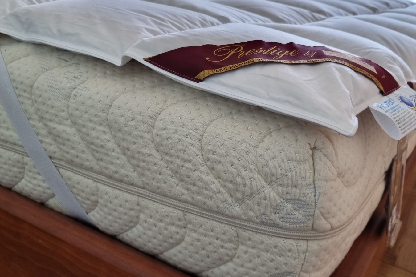 Immagine Articolo AR00000016