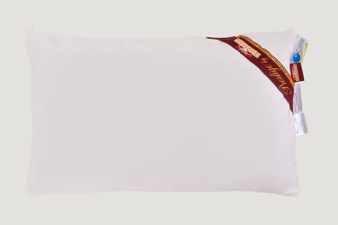 Immagine Articolo AR00000100